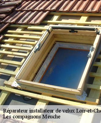 Réparateur installateur de velux Loir-et-Cher 
