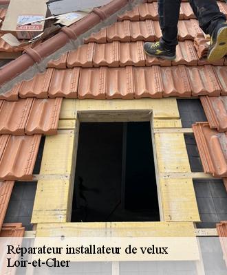 Réparateur installateur de velux Loir-et-Cher 