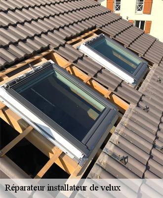 Réparateur installateur de velux Loir-et-Cher 