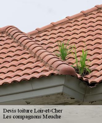 Devis toiture Loir-et-Cher 