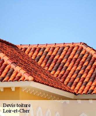 Devis toiture Loir-et-Cher 