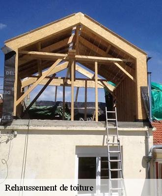 Rehaussement de toiture Loir-et-Cher 