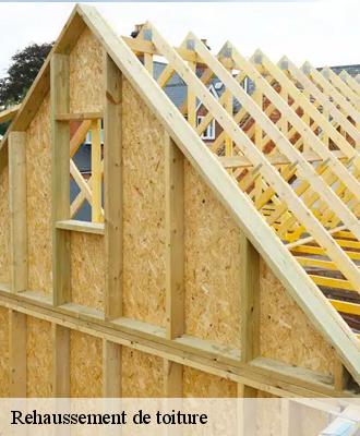 Rehaussement de toiture Loir-et-Cher 