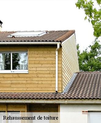 Rehaussement de toiture Loir-et-Cher 