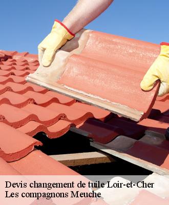 Devis changement de tuile Loir-et-Cher 