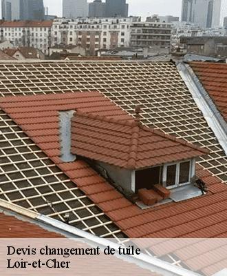 Devis changement de tuile Loir-et-Cher 