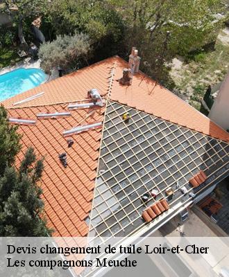 Devis changement de tuile Loir-et-Cher 