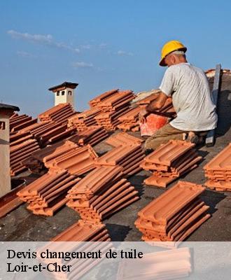 Devis changement de tuile Loir-et-Cher 