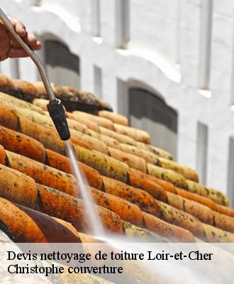 Devis nettoyage de toiture Loir-et-Cher 