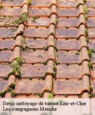Devis nettoyage de toiture Loir-et-Cher 