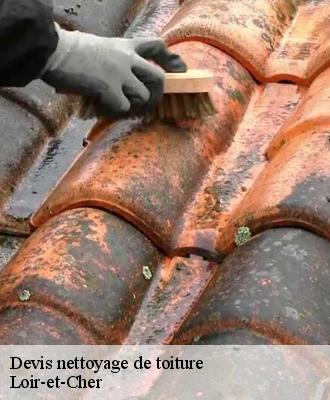 Devis nettoyage de toiture Loir-et-Cher 
