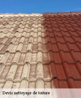 Devis nettoyage de toiture Loir-et-Cher 