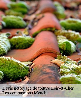 Devis nettoyage de toiture Loir-et-Cher 