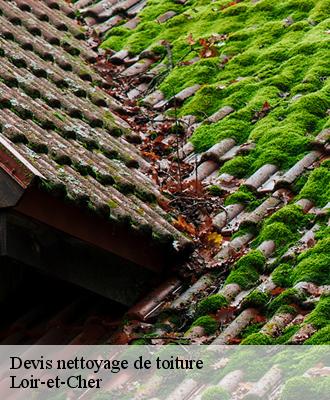 Devis nettoyage de toiture Loir-et-Cher 
