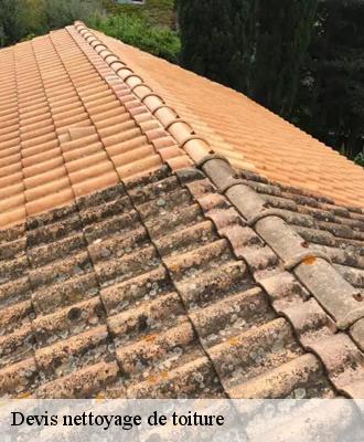 Devis nettoyage de toiture Loir-et-Cher 