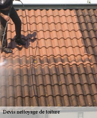 Devis nettoyage de toiture Loir-et-Cher 