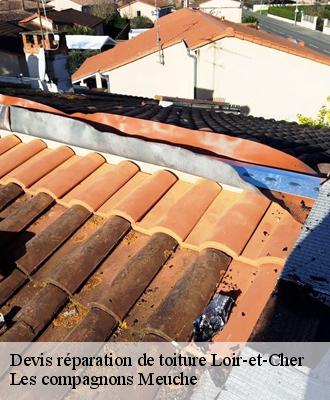 Devis réparation de toiture Loir-et-Cher 