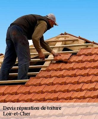 Devis réparation de toiture Loir-et-Cher 