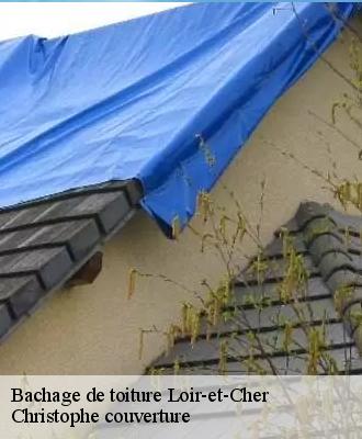 Bachage de toiture Loir-et-Cher 