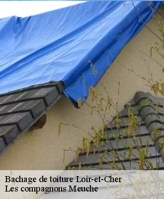 Bachage de toiture Loir-et-Cher 