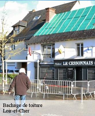 Bachage de toiture Loir-et-Cher 