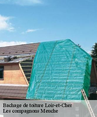 Bachage de toiture Loir-et-Cher 