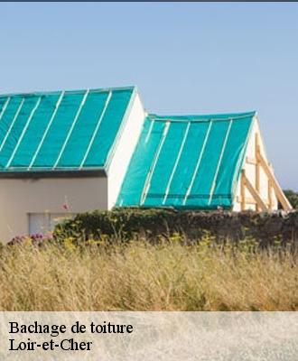 Bachage de toiture Loir-et-Cher 