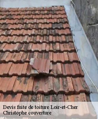 Devis fuite de toiture Loir-et-Cher 