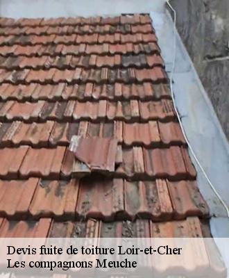 Devis fuite de toiture Loir-et-Cher 
