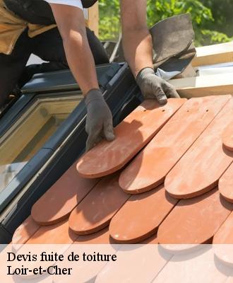 Devis fuite de toiture Loir-et-Cher 