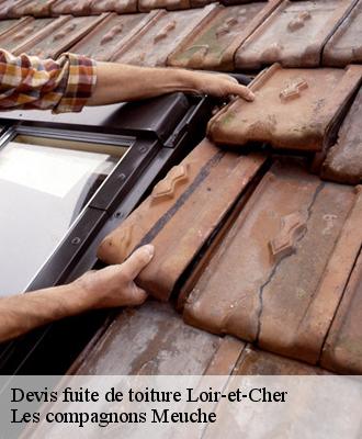 Devis fuite de toiture Loir-et-Cher 