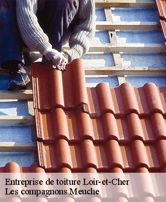 Entreprise de toiture Loir-et-Cher 