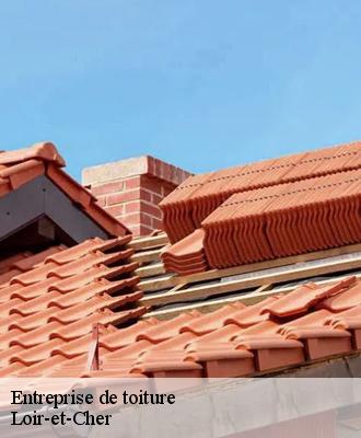 Entreprise de toiture Loir-et-Cher 