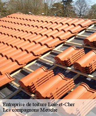 Entreprise de toiture Loir-et-Cher 