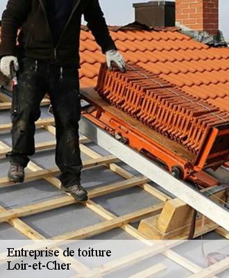 Entreprise de toiture Loir-et-Cher 