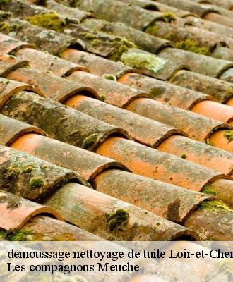 demoussage nettoyage de tuile Loir-et-Cher 