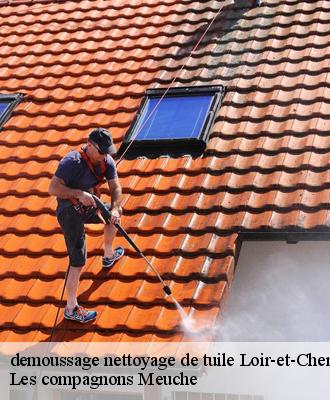 demoussage nettoyage de tuile Loir-et-Cher 