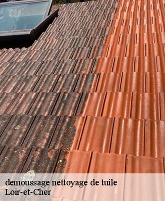 demoussage nettoyage de tuile Loir-et-Cher 