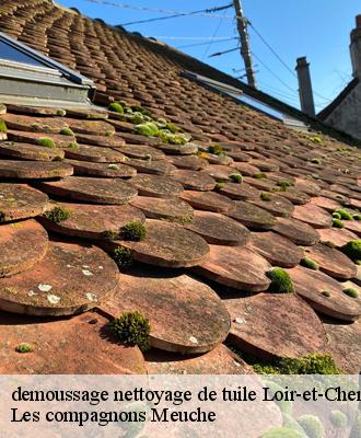 demoussage nettoyage de tuile Loir-et-Cher 