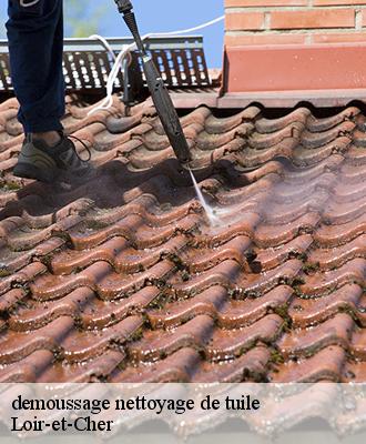 demoussage nettoyage de tuile Loir-et-Cher 