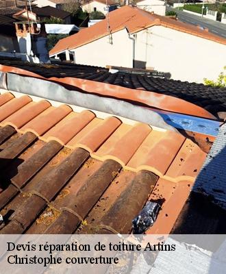 Devis réparation de toiture  41800