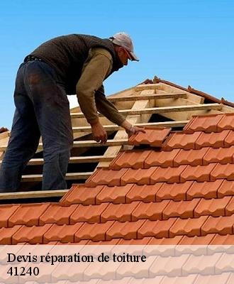 Devis réparation de toiture  41240