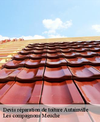 Devis réparation de toiture  41240