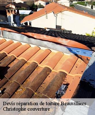 Devis réparation de toiture  41290