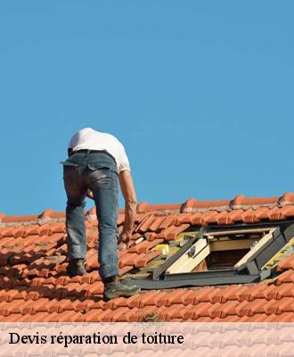 Devis réparation de toiture  41160