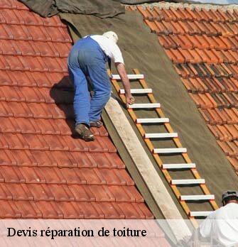 Devis réparation de toiture  41500