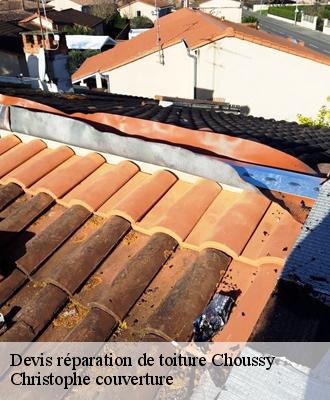 Devis réparation de toiture  41700