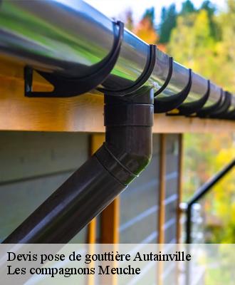 Devis pose de gouttière  41240