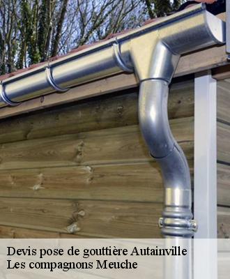 Devis pose de gouttière  41240
