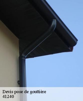 Devis pose de gouttière  41240